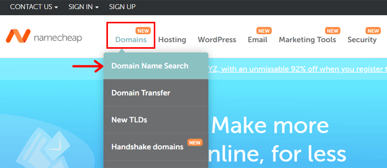 Open Domain Name Search
