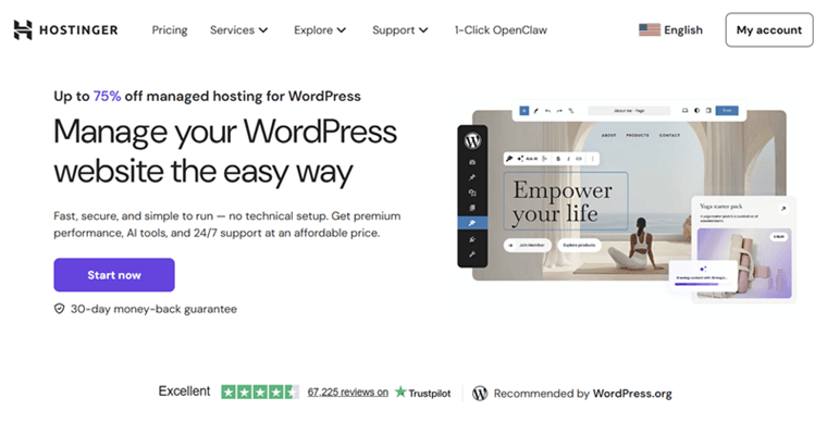 Hostinger WordPress Hosting Platform