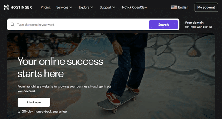 Hostinger Website Preview