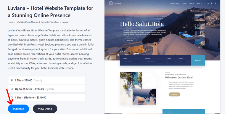 Purchase Luviana Theme
