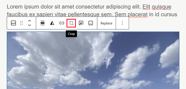 Click Crop Option - WordPress 6.8
