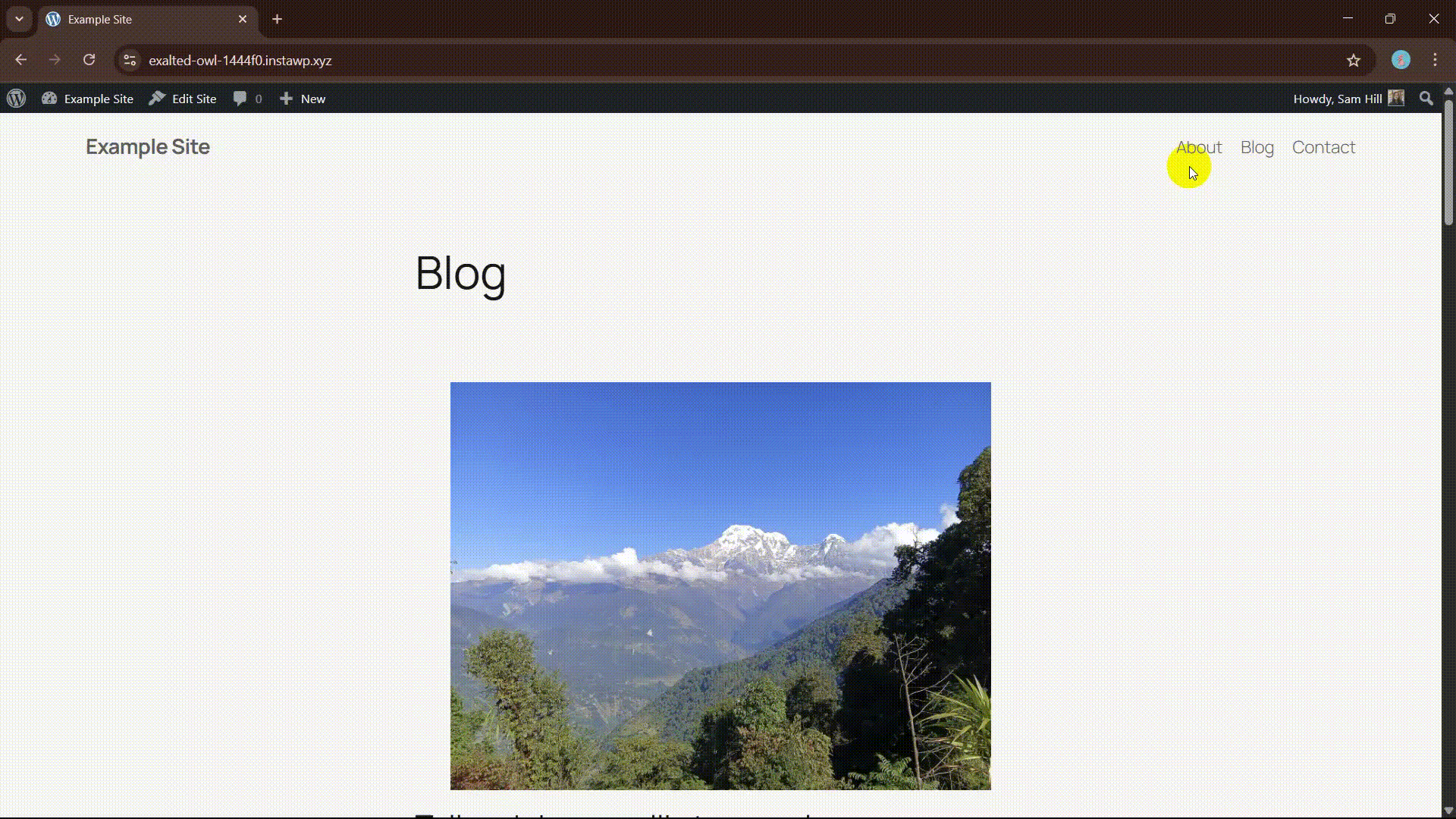 Speculative Loading Example