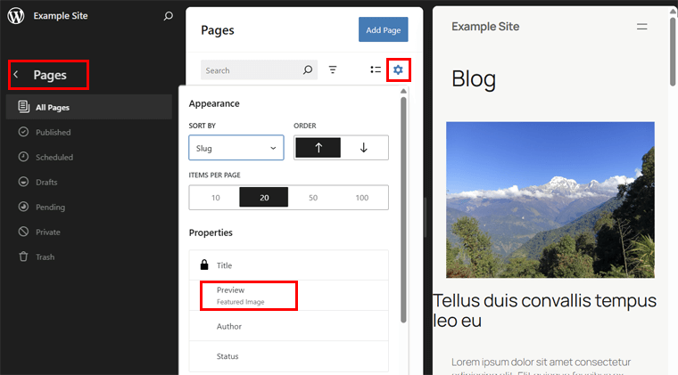 New Preview Data View Option