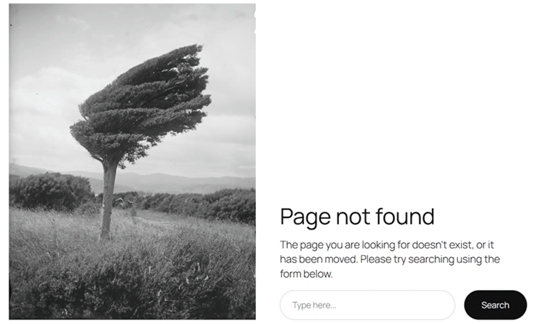 Page Not Found Error