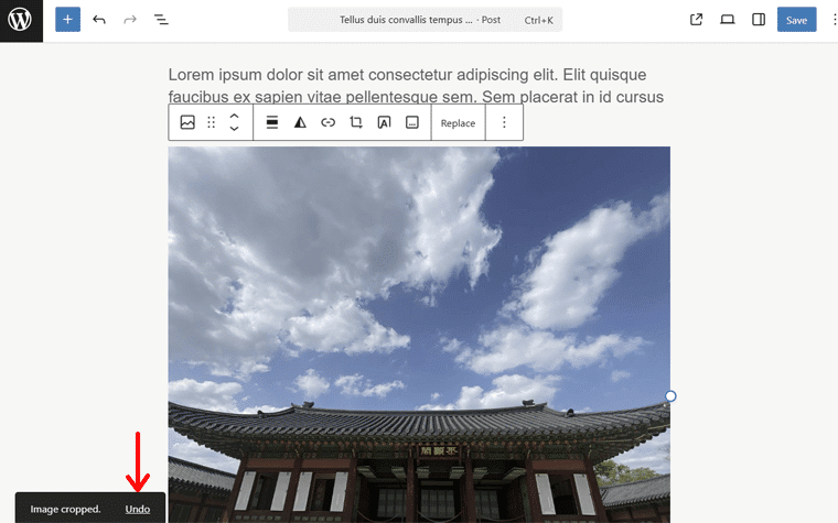 Undo Edited Image