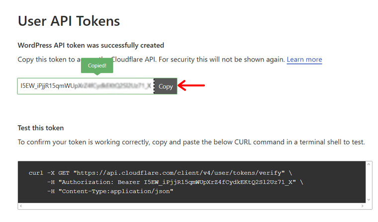 Copy the API Token