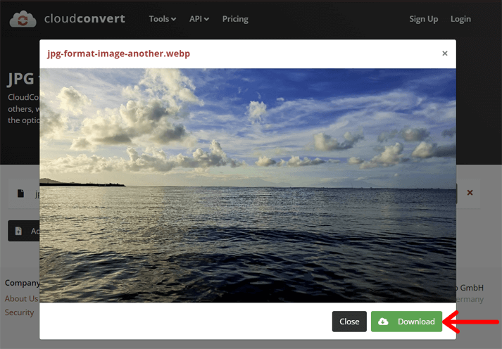 Download the New WebP Image