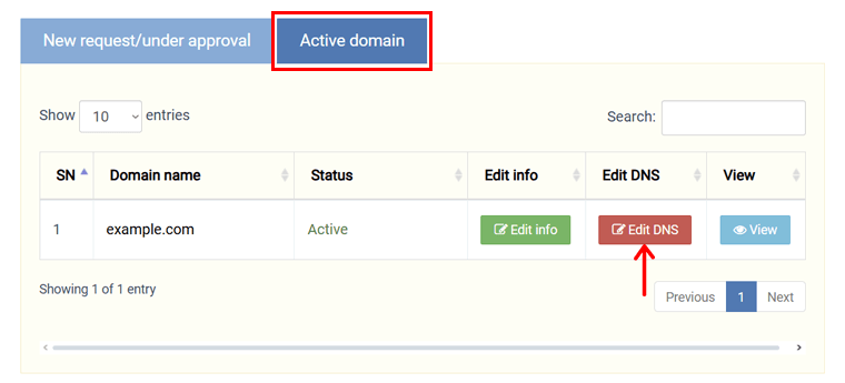 Edit DNS for Active Website