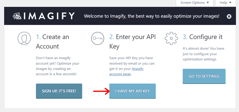 I Have My API Key