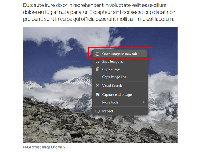 Open Image in New Tab to Check
