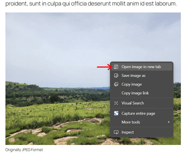 Open Image in a New Tab