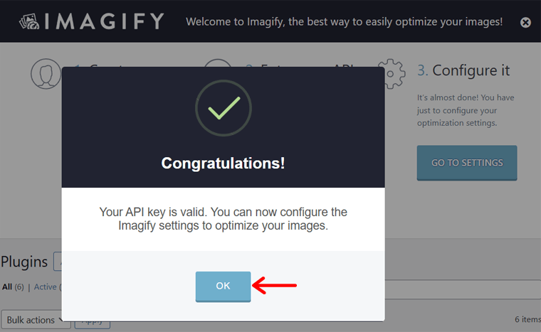 Valid API and Configuration Initiation