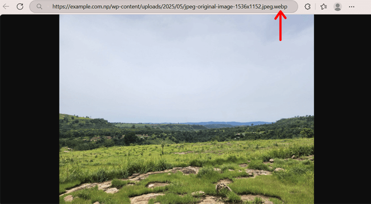 WebP Format after Using LiteSpeed Cache