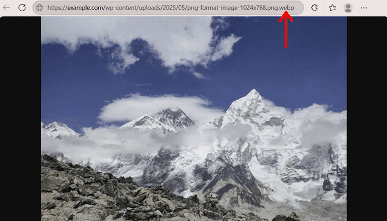 WebP Imagify Test Results