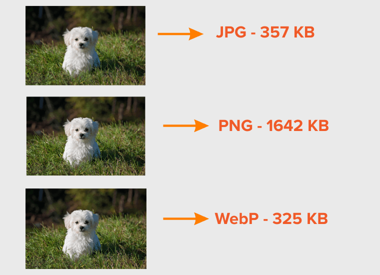 JPG vs PNG vs WebP File Size