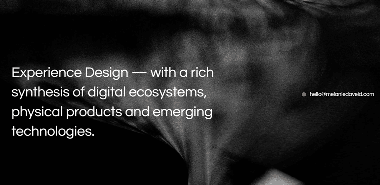 Melaine-daveid-Website personal websites templates
