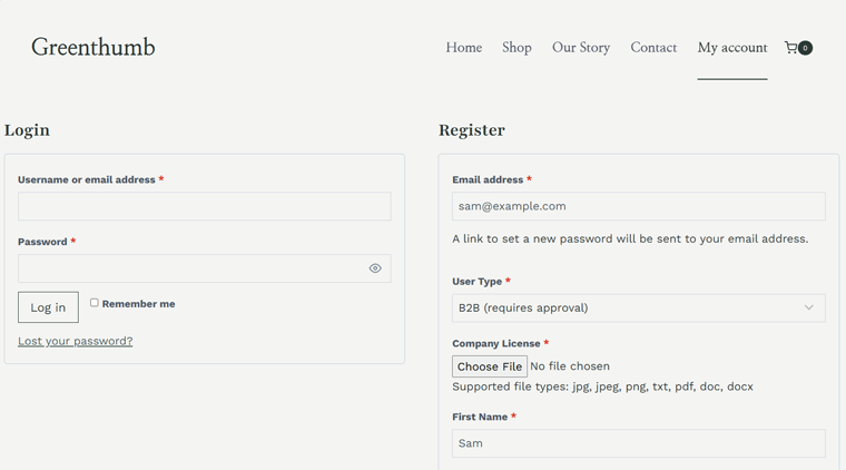 Register and Login to B2B Store