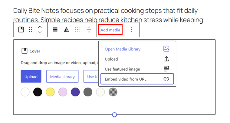 Embed Video from URL Option
