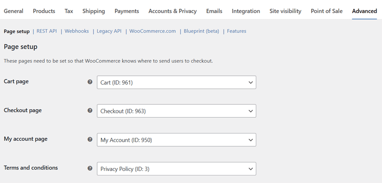 Cart and Checkout Options