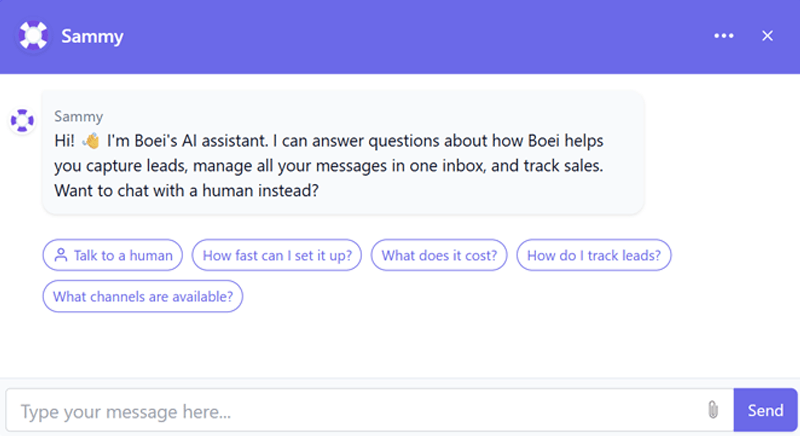 Preview of Boei AI Assistant